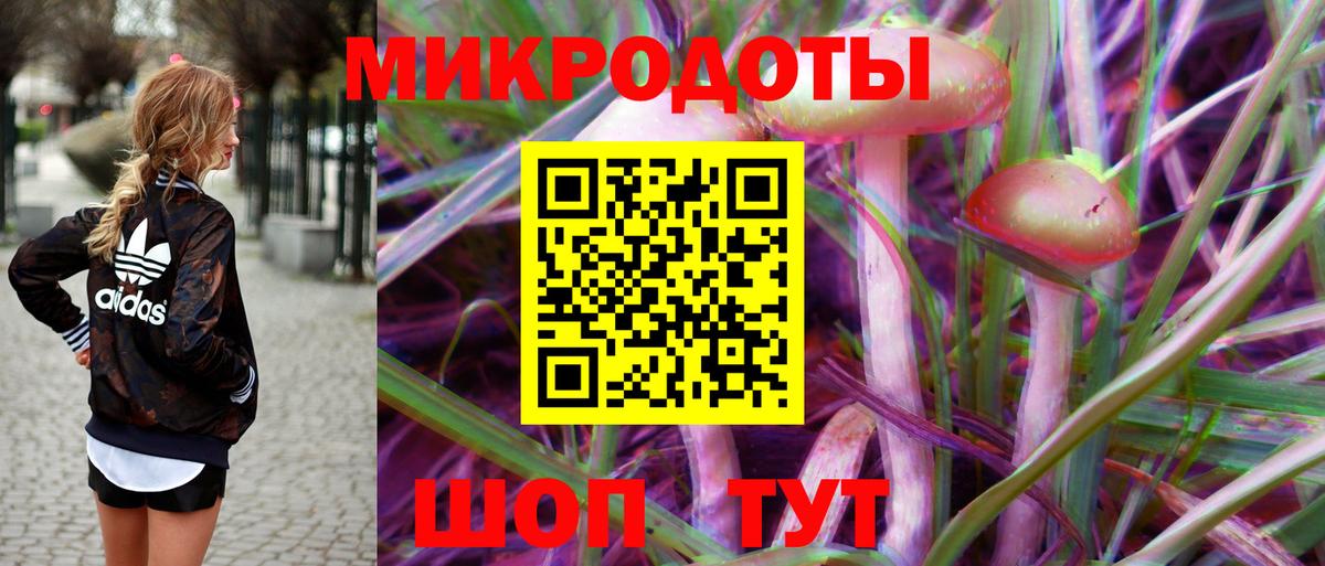 Галлюциногенные грибы мухоморы Среднеуральск